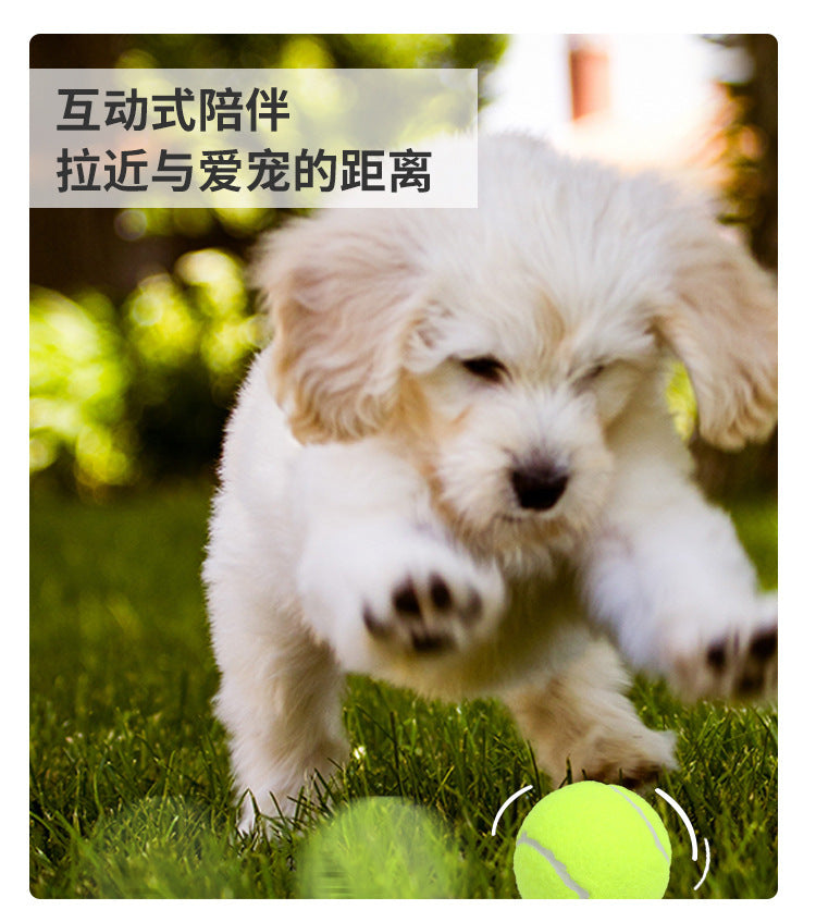 3481329b-7984-4696-84a3-5a884bef59dd