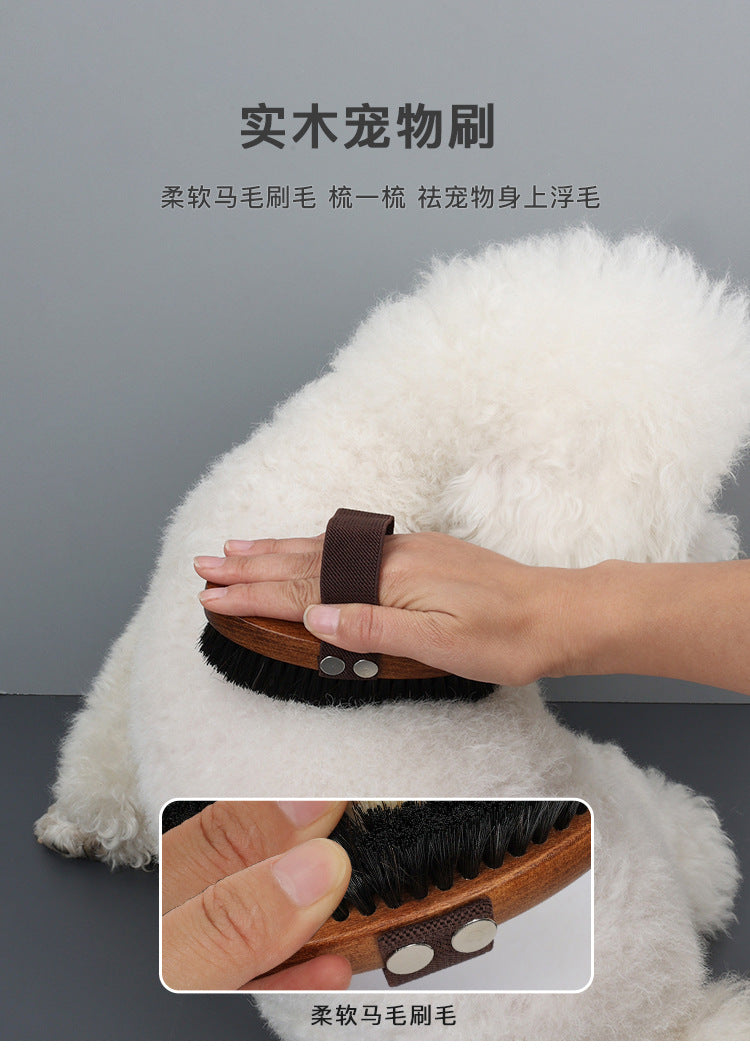 404fad8f-fde6-444a-88ba-2a67fbeef1ae