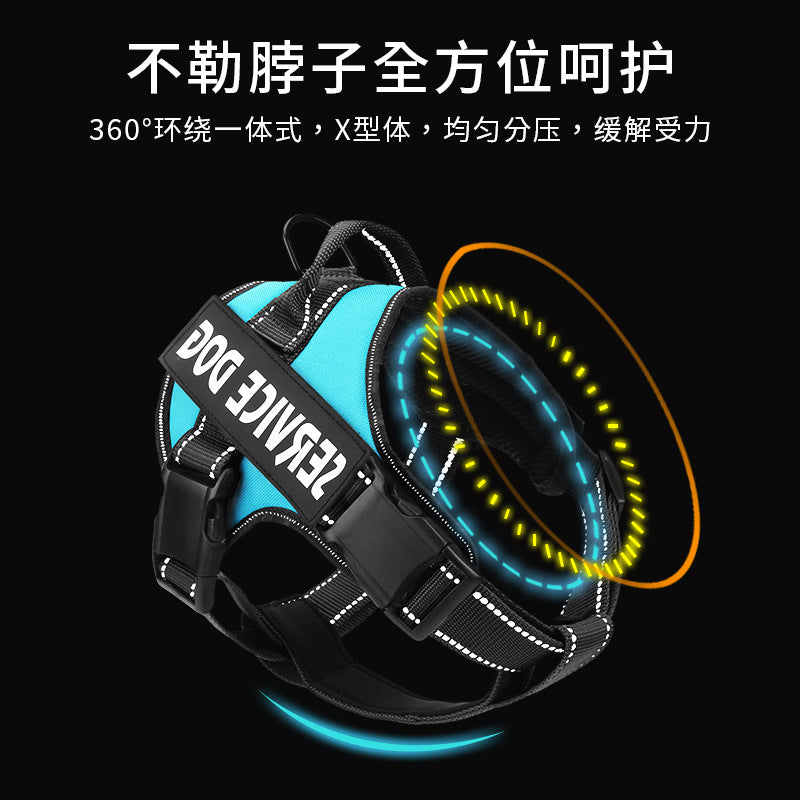 236dc7ae-787c-4dfd-b866-167458b3fb76
