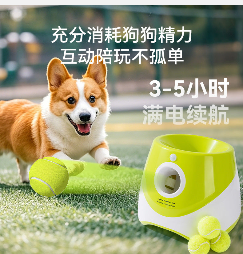 bd50f3fb-60b2-49d4-8274-1036aa09d5c5