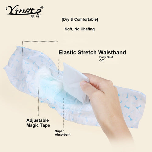Dog Diapers Changing - Physiological Pants Puppies