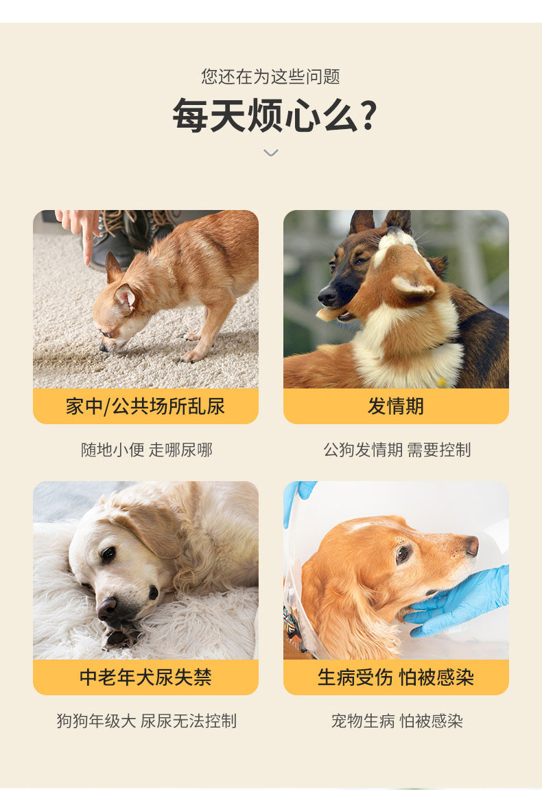 Dog Diapers Changing - Physiological Pants Puppies