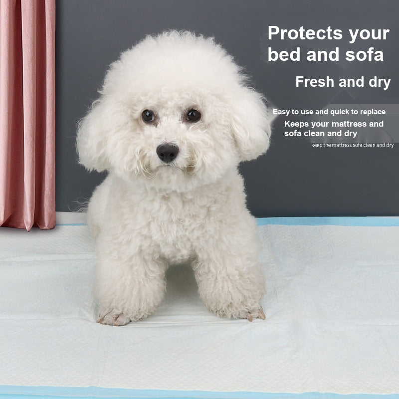 Dog Training Pads Disposable Thickened - Large, Breathable
