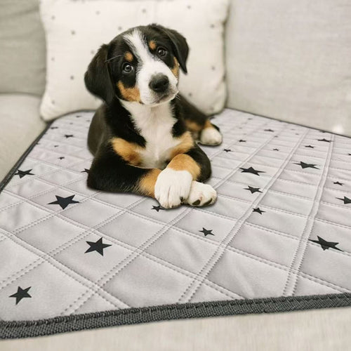 353f773d-6f8b-4693-b957-89c3af473dce