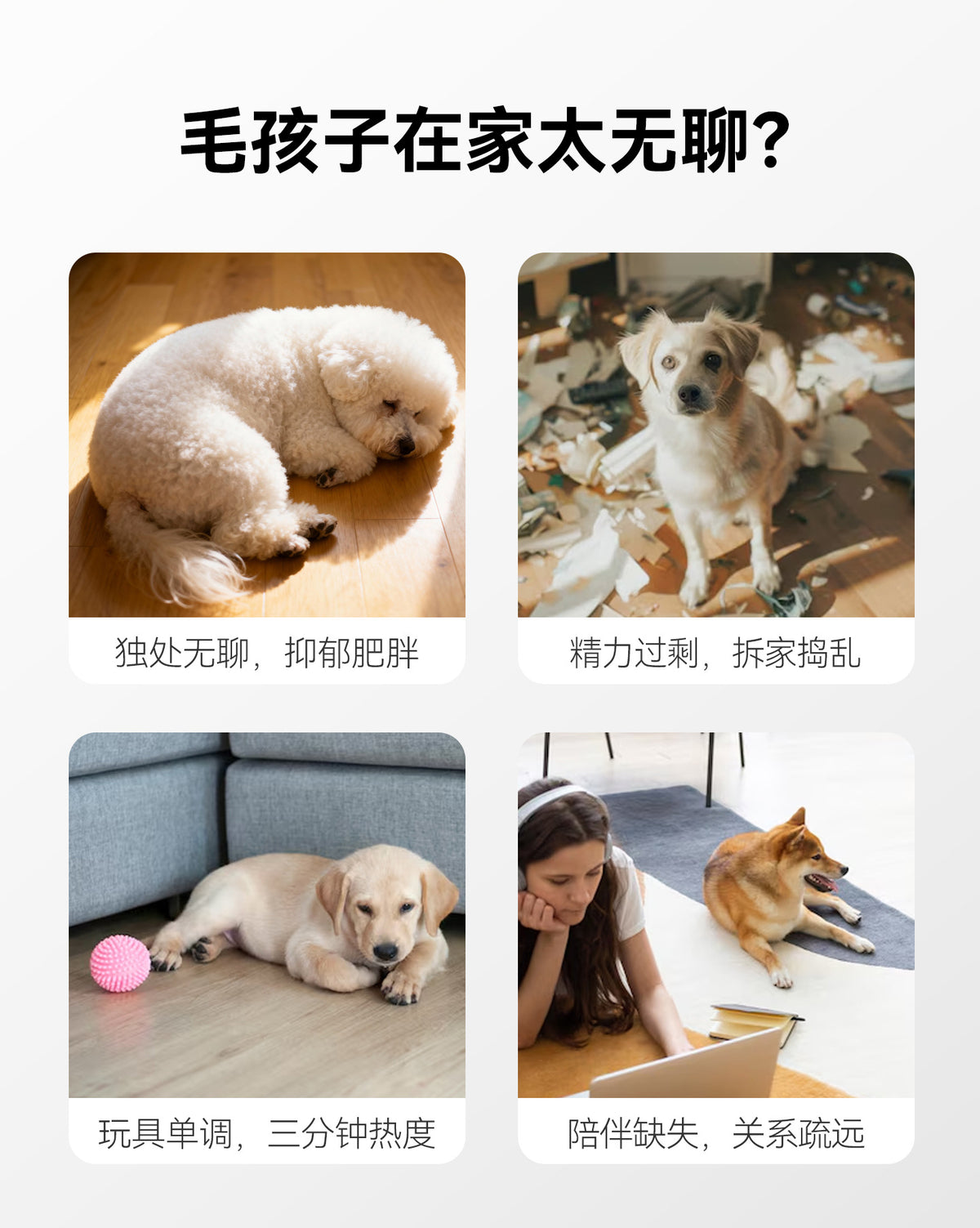 c50b6e36-a410-42c3-b3cc-b545c29a5fd2