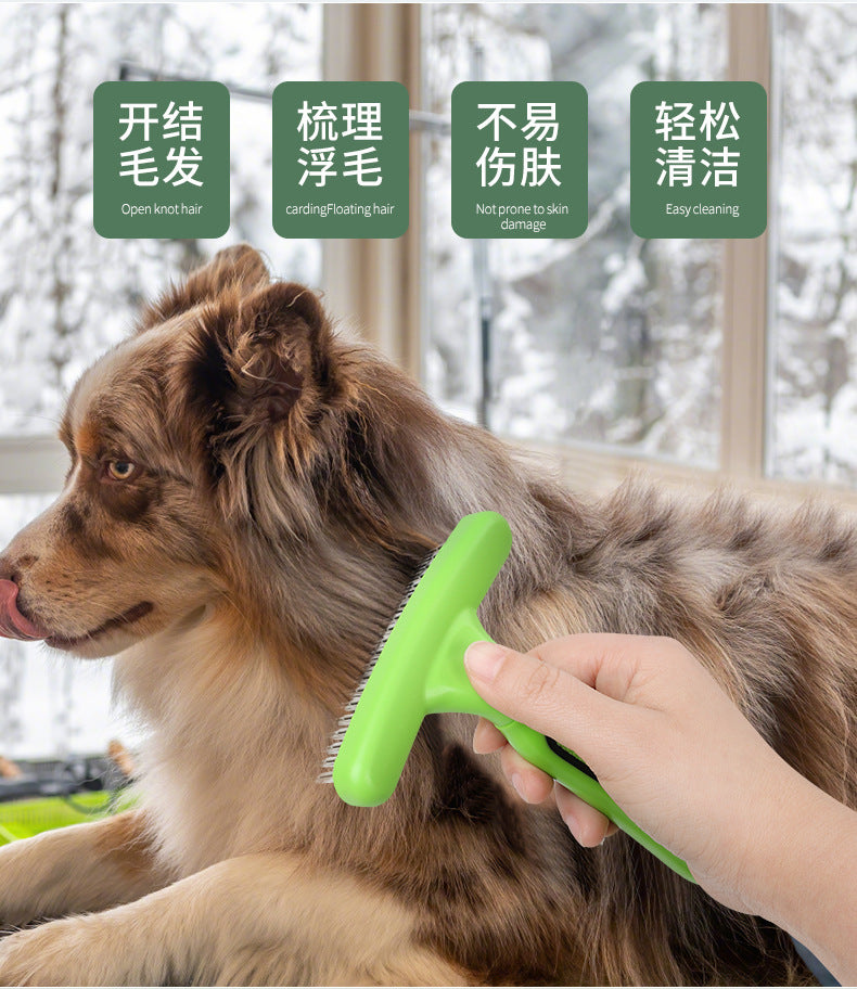 222310f5-7f68-4b5b-8b01-80a0b1d7a645