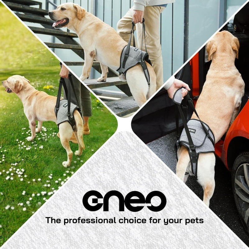0cbafd62-c1f4-429d-a8b1-6c66f3b632d0