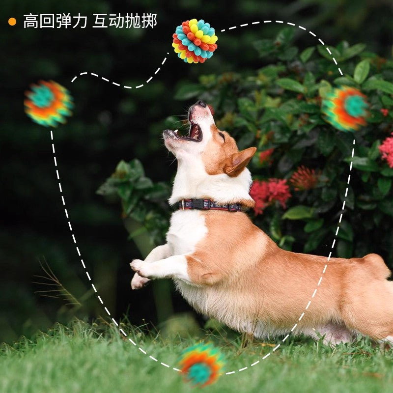 ba02d83a-211b-4fa5-b4fb-43b5e1ca1787