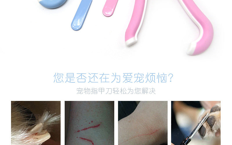 881dbbf6-c485-4862-826c-435a67035789