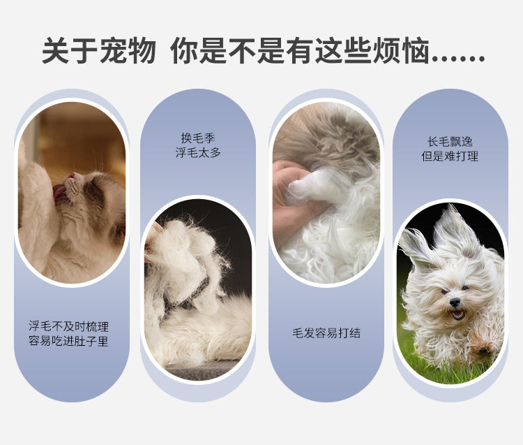 2b33d1cc-667c-4f5b-82c2-6597b85ae088