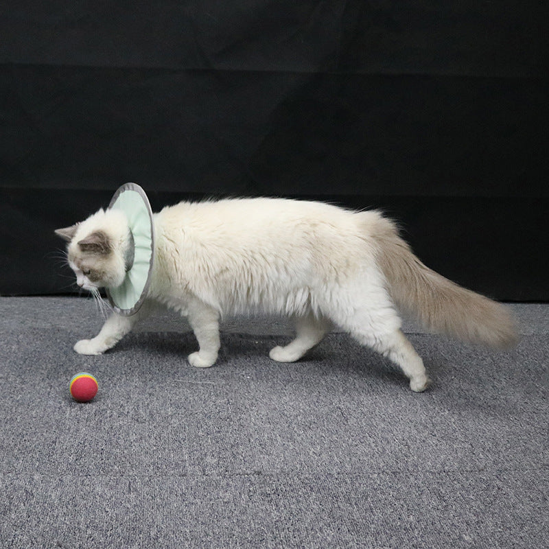 750eadf6-7601-4a93-ade7-d64809e3dc25