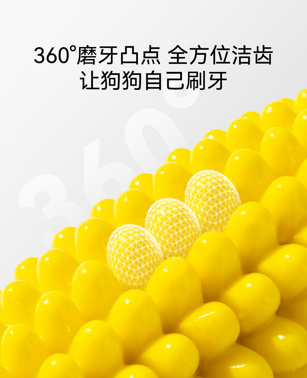 55a9441b-02e1-4769-b02f-eddb7748e381