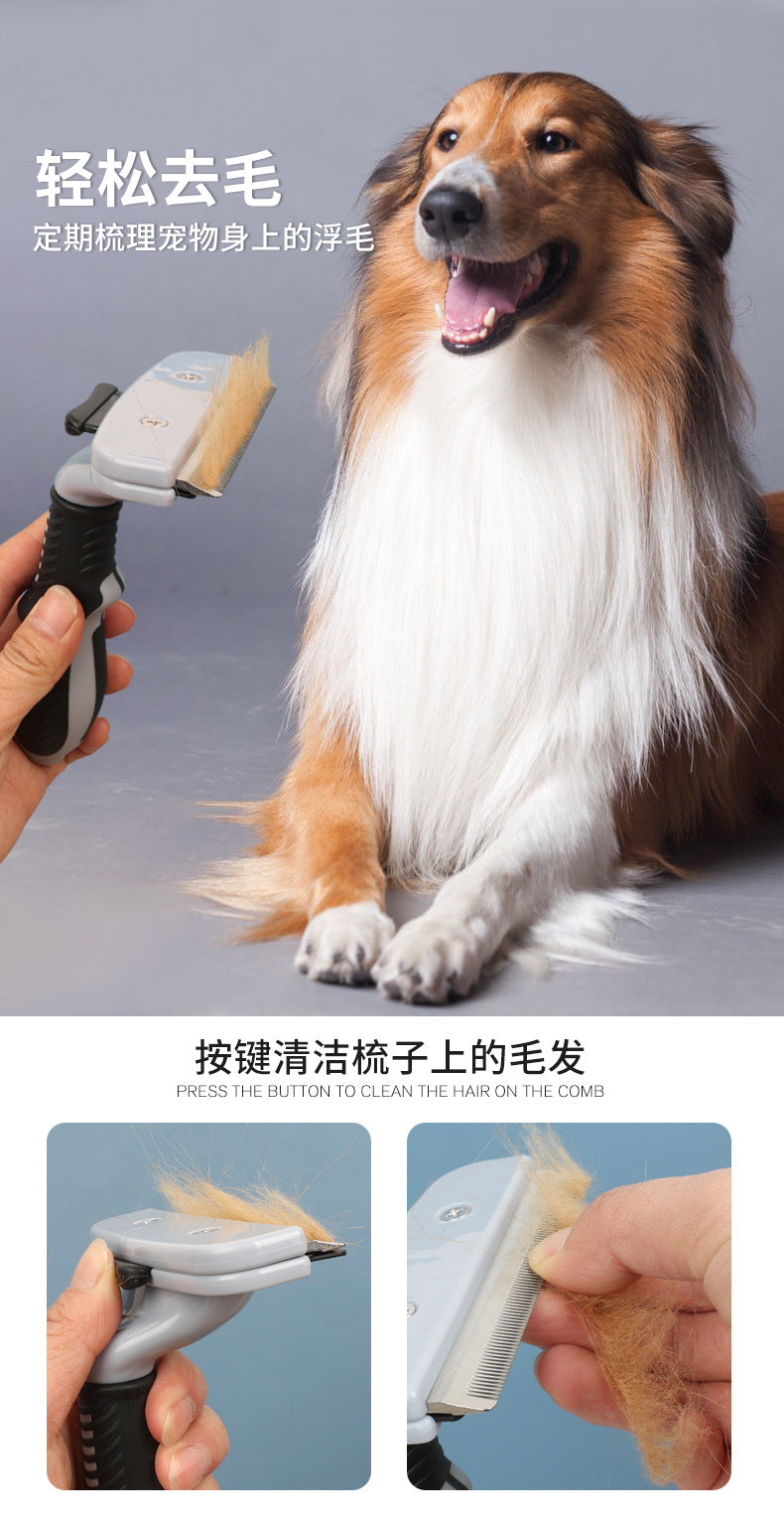 57dbbabd-7bcd-45ba-9120-73c4d488126e