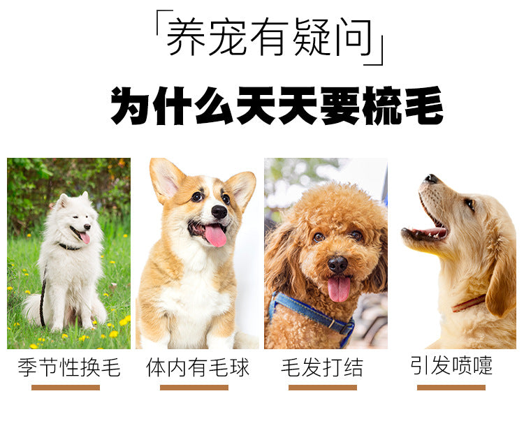 c1fa85d6-45c5-453b-9671-8831c8d77ff8