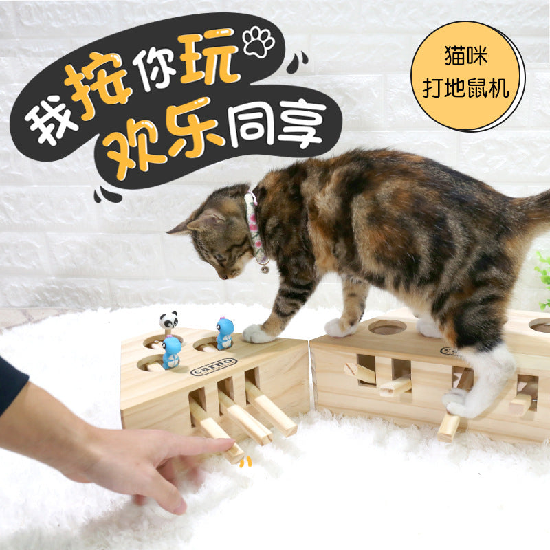 0b3262a3-d7eb-4f51-9c0a-75a6b0c84f64