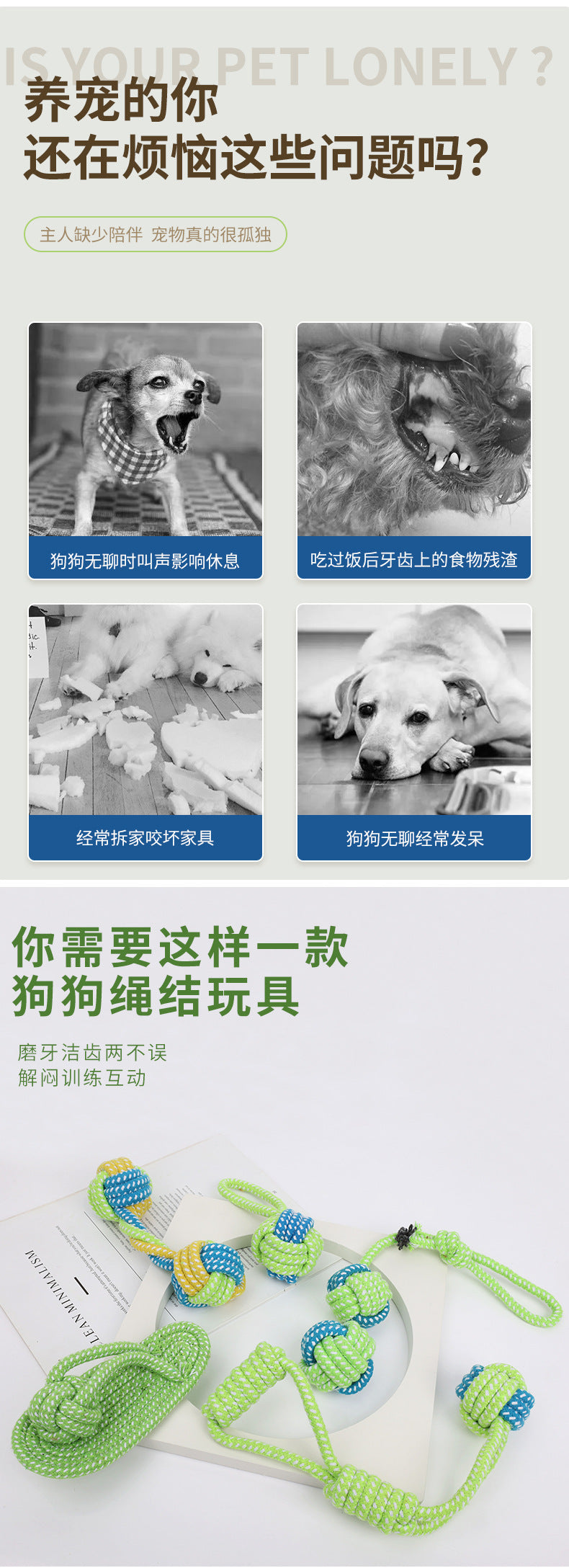 c4e4f923-308f-41a5-bbca-4f09639ef20d