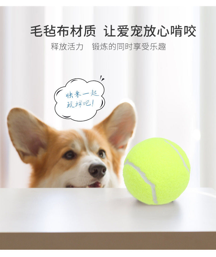 afe83bd8-d2c1-4ddc-97cf-4816392a9f64