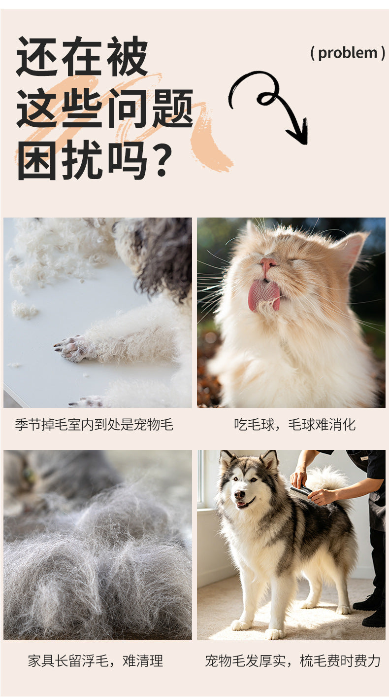 2f51443c-4a7a-48e8-b155-a810c85398fc