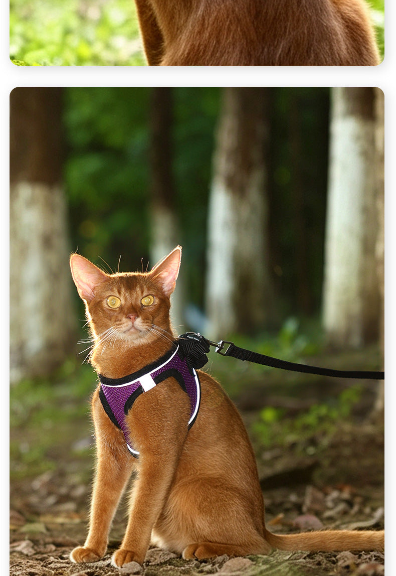 760e1a98-25cb-498f-abfd-0295d50754b0