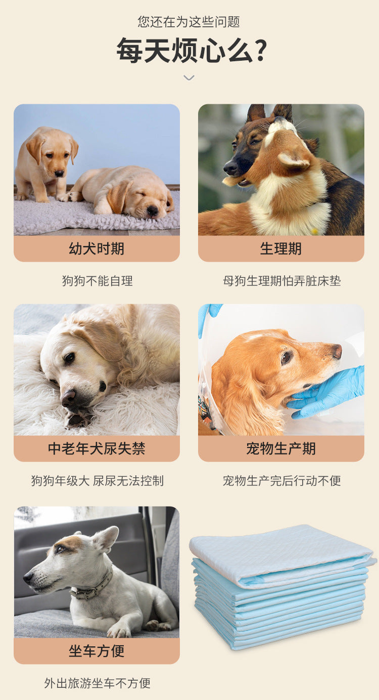ec13d8a8-e982-4805-ad32-f63595735841