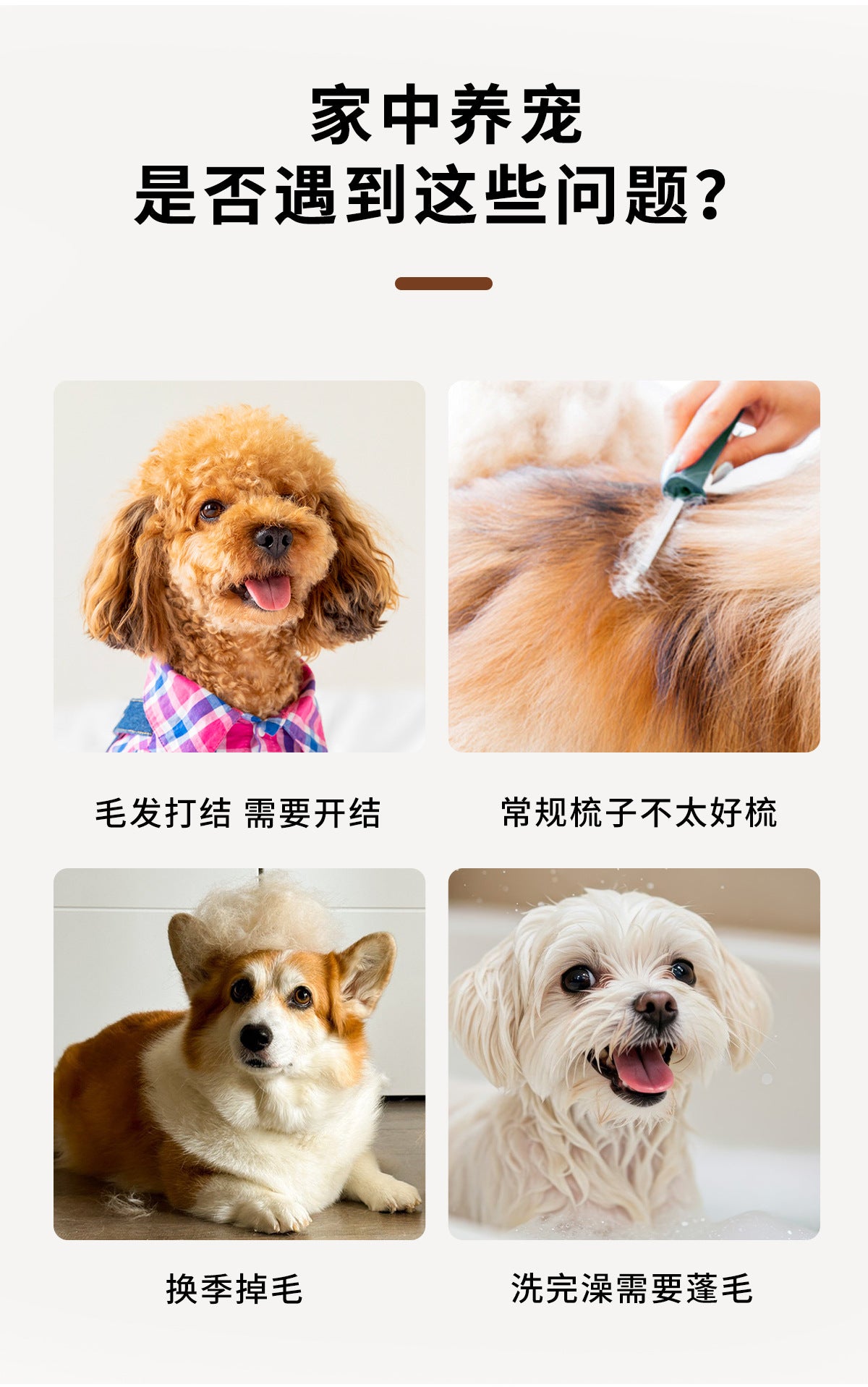 32d437fc-085b-4755-88a8-9ced006363cd