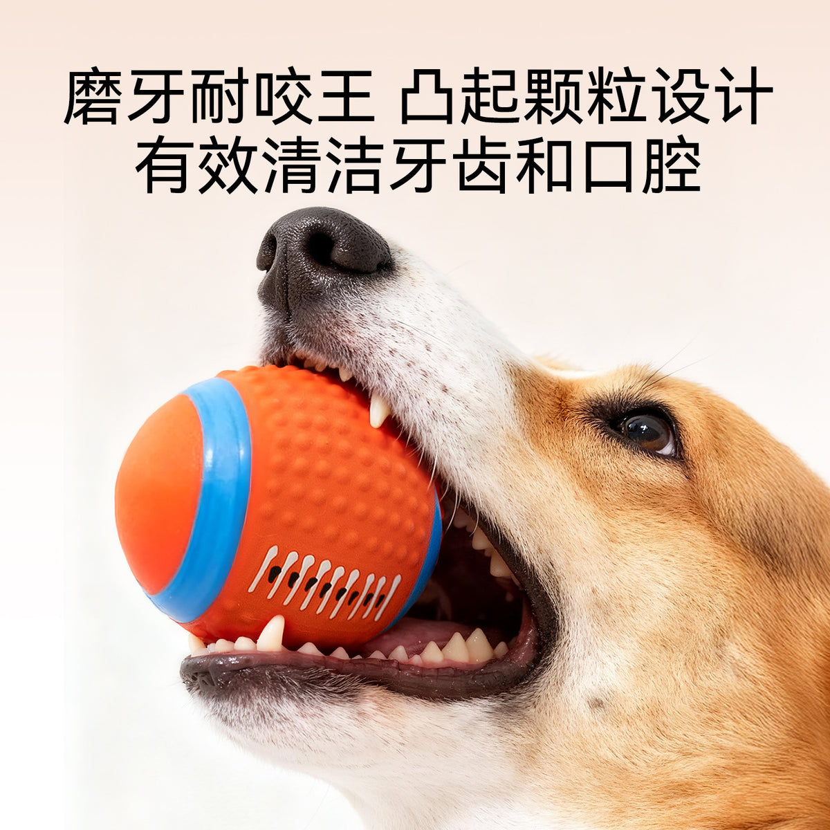c9b3f78e-1e34-4554-b9c3-cf26e62a195e