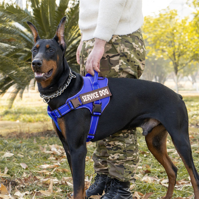 2c395145-8633-4875-adaa-8dd526c2b014