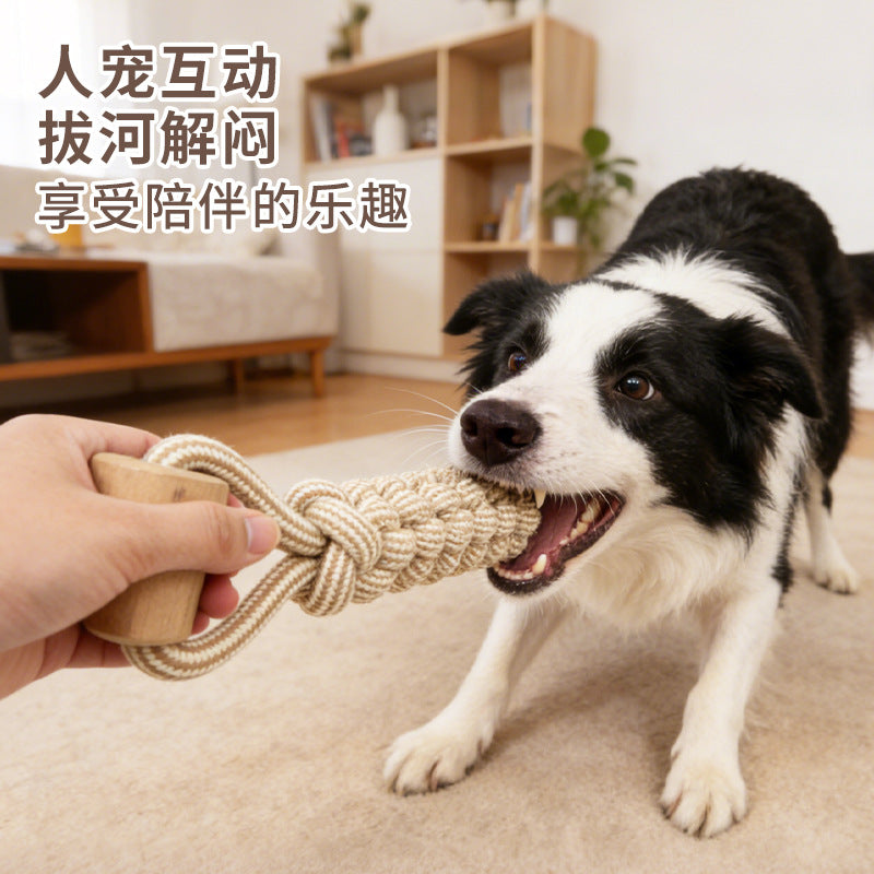 03f922bd-46d4-4044-a381-65ccf7f688ea