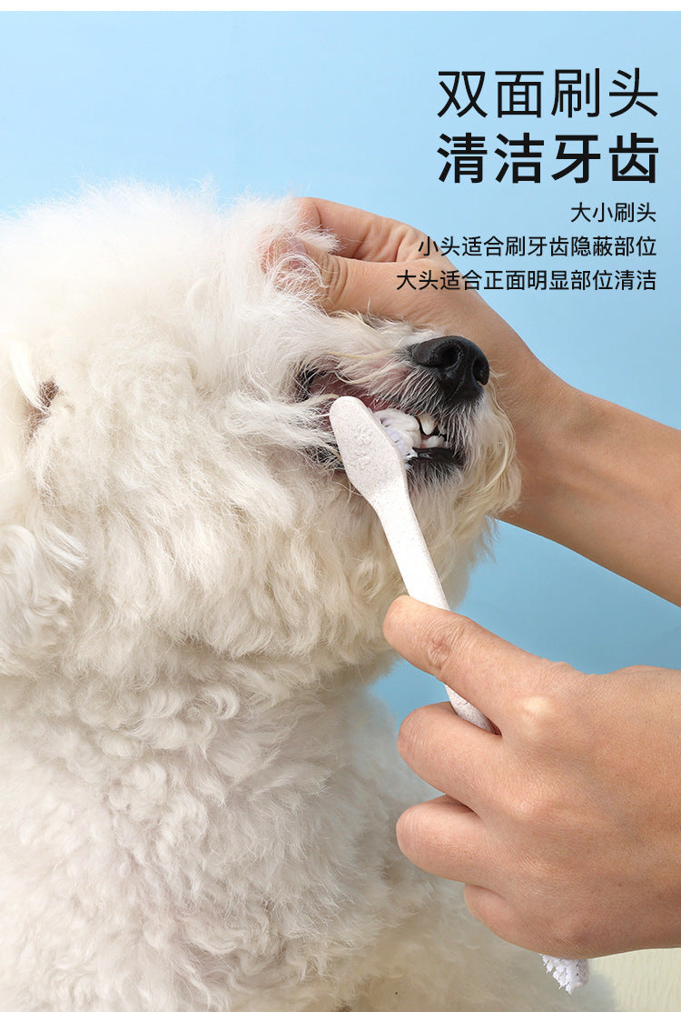 b8338376-e275-46d6-a221-9ab87517788a