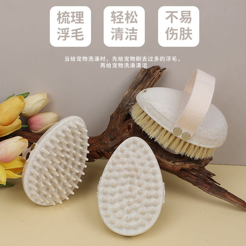 2b2783c2-056e-4c30-bc1c-7489ac53b916