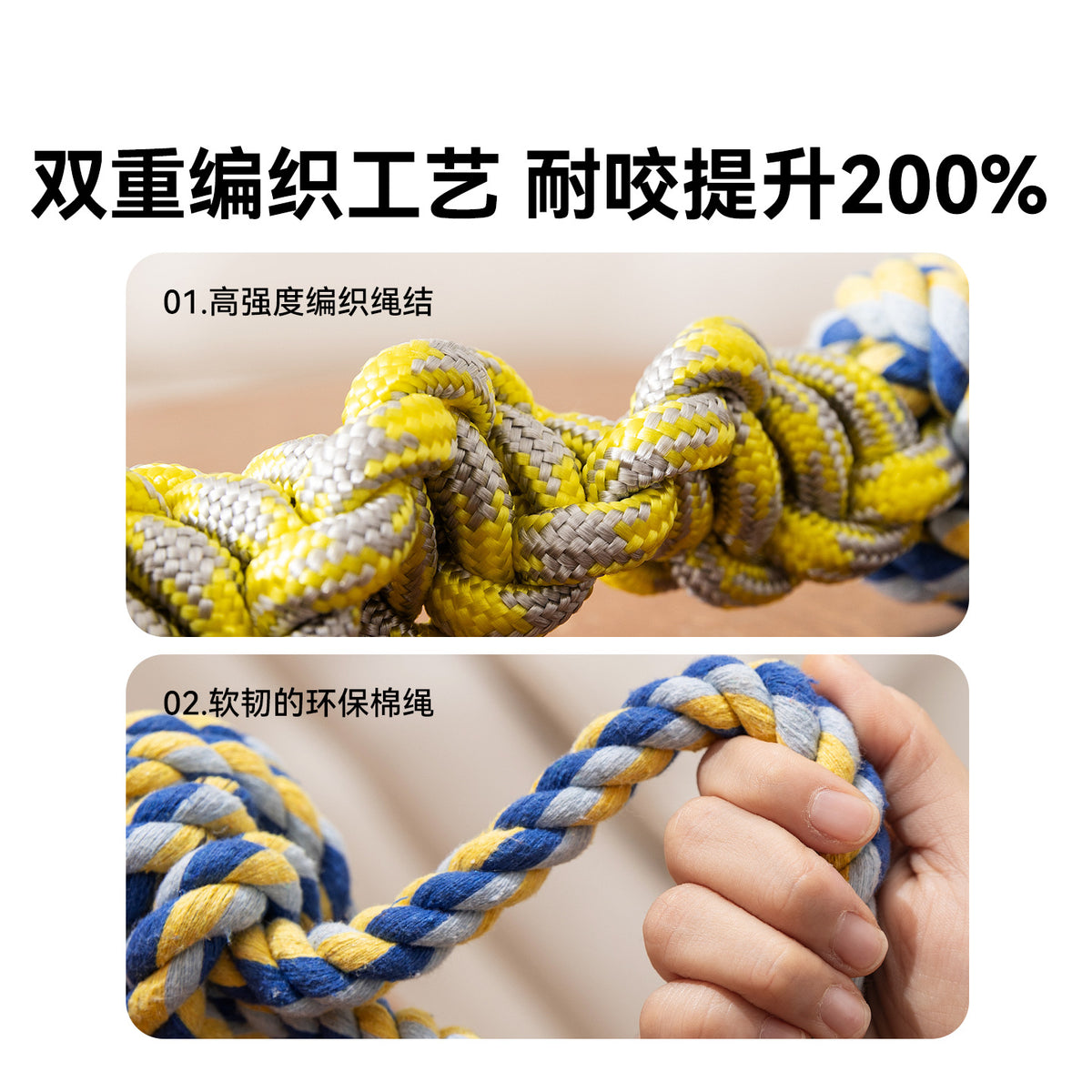 504339c3-c599-4cb6-842a-f8c092518e79